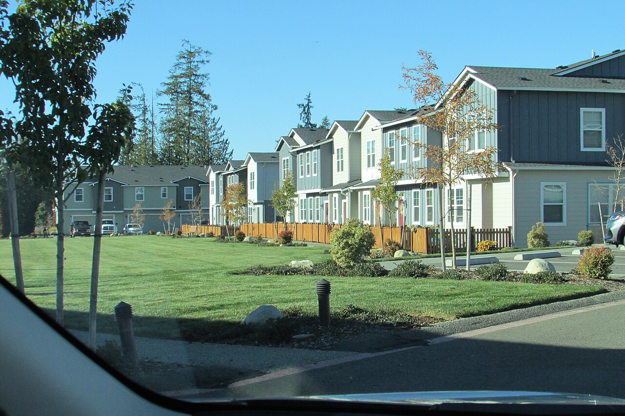 A row of new gray and blue two-story houses behind a mowed lawn and young trees under a clear sky